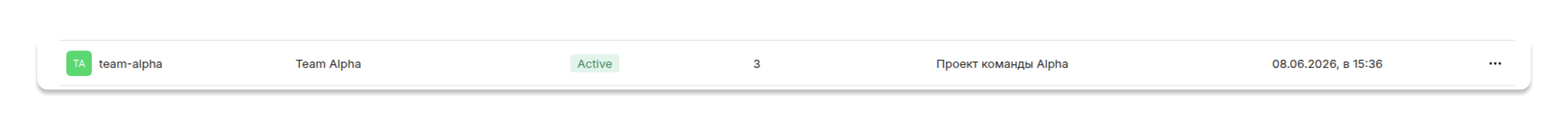 Отображение проекта в консоли управления